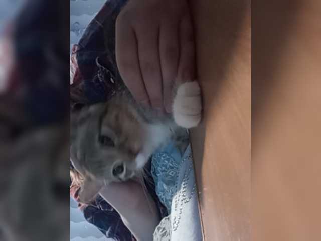 방송 스크린 샷 8Lilith8