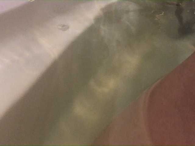 방송 스크린 샷 Alianakiss