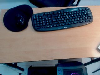 에로틱 한 영상 채팅 amberfox