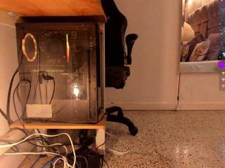 에로틱 한 영상 채팅 amina-west