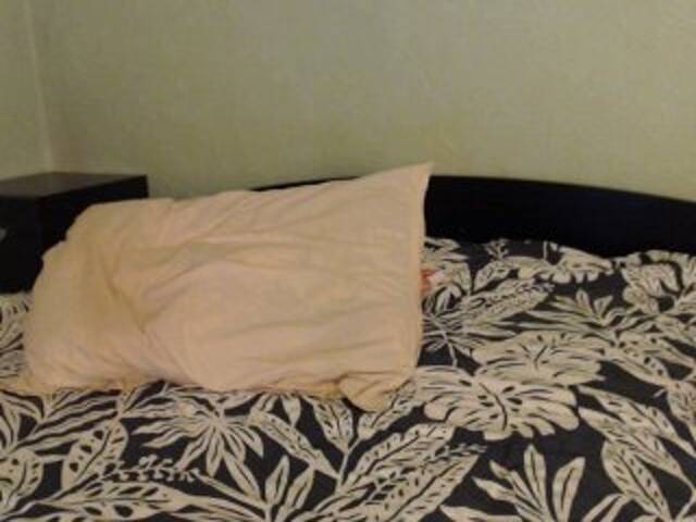 방송 스크린 샷 Alissia_Kiss