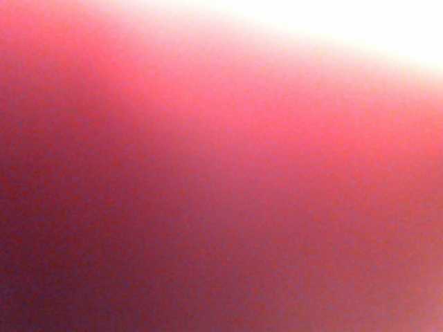 방송 스크린 샷 anawild4you