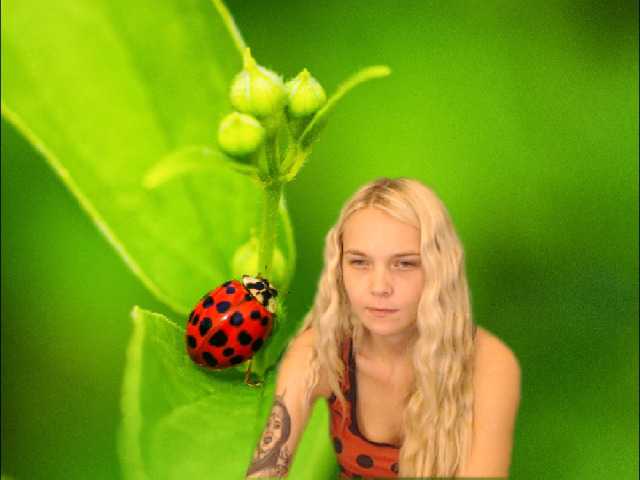 사진 AnnaHappy18 ...the story of the lonely ladybug.