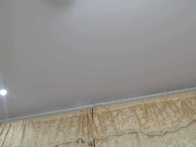 방송 스크린 샷 AnnyBotero