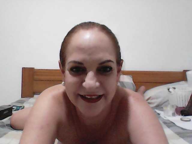 방송 스크린 샷 any-kitten