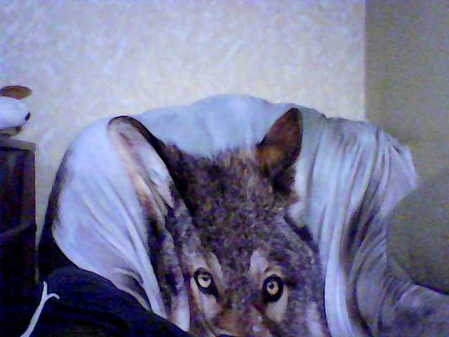 방송 스크린 샷 arinae