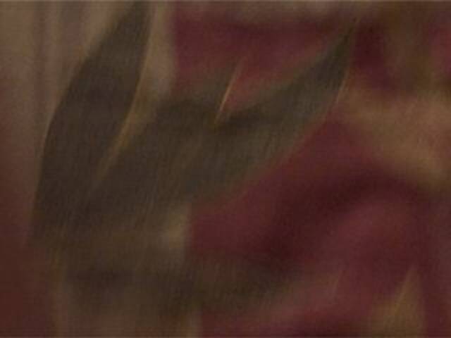 방송 스크린 샷 AshaPM