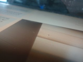 에로틱 한 영상 채팅 AshleyT255