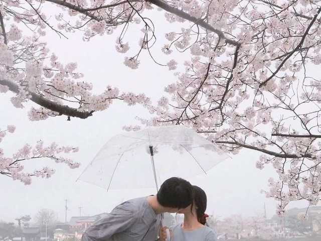 프로필 사진 BeautyD