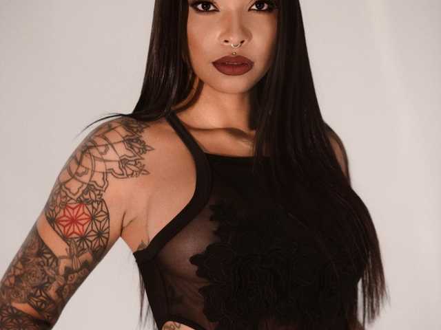 프로필 사진 cocodamore