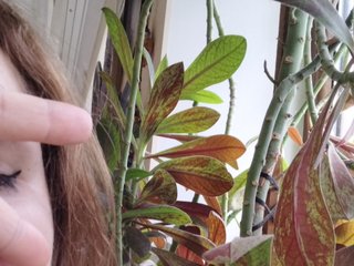 에로틱 한 영상 채팅 Crazycouple8