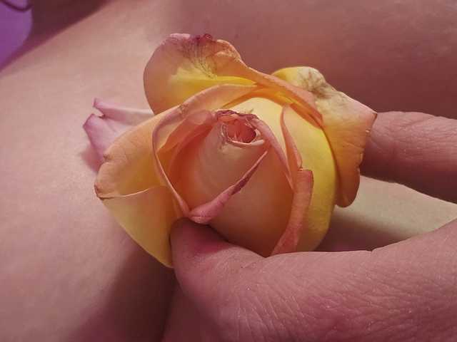 프로필 사진 Delicious-Dahlia
