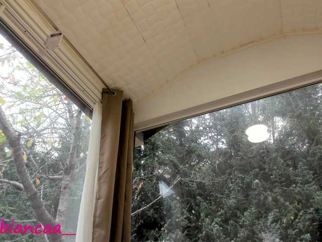 방송 스크린 샷 Denise-Quinn