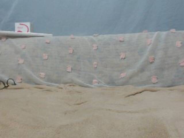 방송 스크린 샷 DonnaWildJoyy