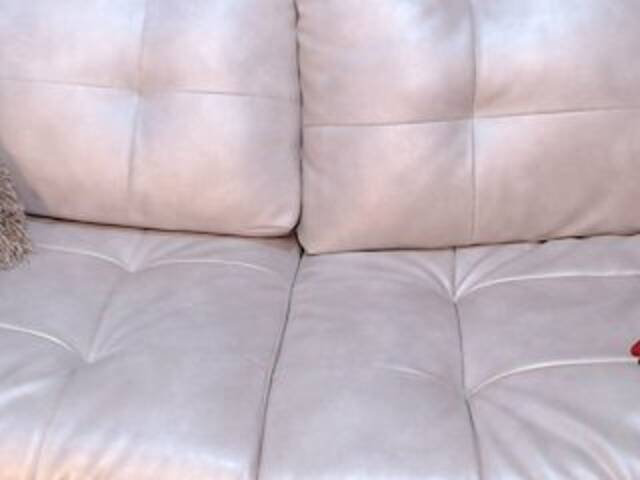 방송 스크린 샷 ElaBecker