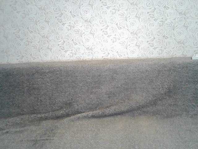 방송 스크린 샷 ElegantBlonda