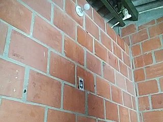 에로틱 한 영상 채팅 EmiliAddams