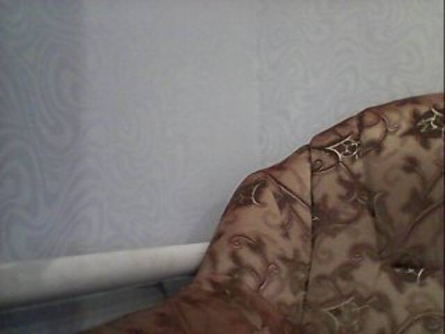 방송 스크린 샷 AngelLadyEva