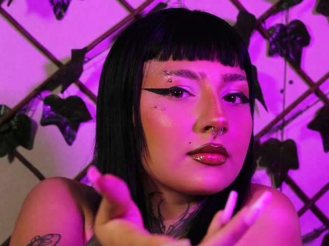 프로필 사진 fer-kitty