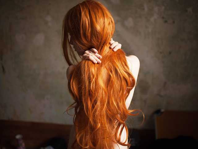 프로필 사진 fieryfox