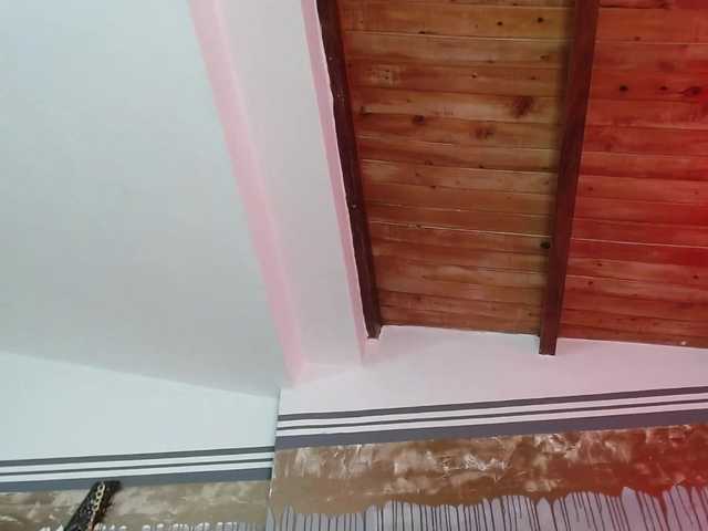 방송 스크린 샷 flexylive