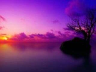 에로틱 한 영상 채팅 florabella