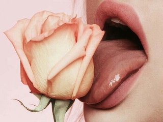 에로틱 한 영상 채팅 Innocent_Flower