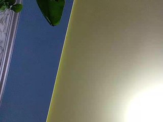 에로틱 한 영상 채팅 Sokovita