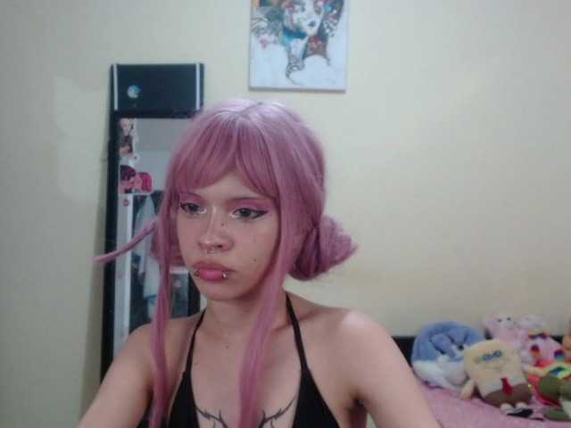 프로필 사진 hachi-kitty