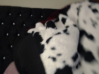 에로틱 한 영상 채팅 Hornyrata