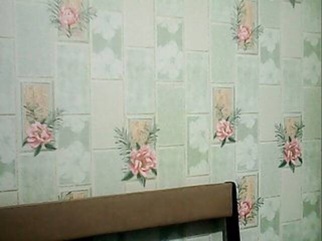 방송 스크린 샷 Inrika