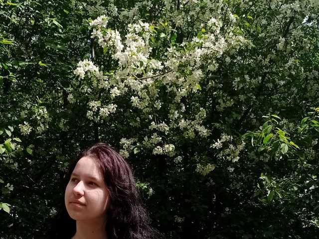 프로필 사진 LisaMeowss