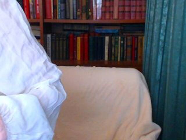 방송 스크린 샷 KassiaDinn