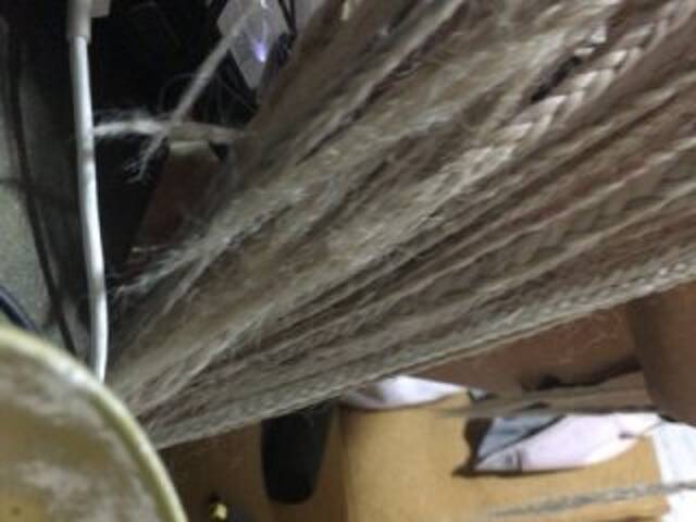 방송 스크린 샷 kataleya13