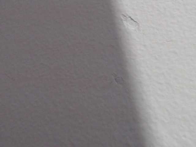 방송 스크린 샷 Katithompson