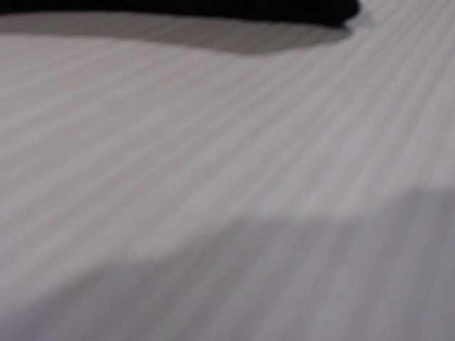 방송 스크린 샷 kimwilliams