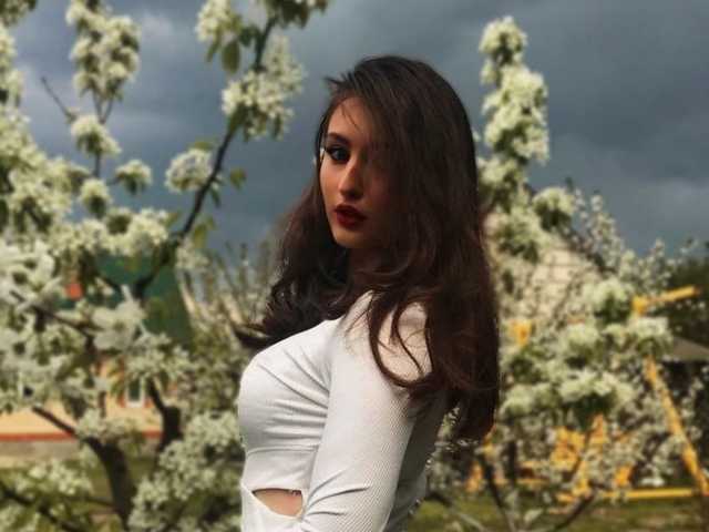 프로필 사진 KinkyNova