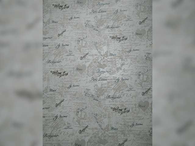 방송 스크린 샷 ToxicTiger