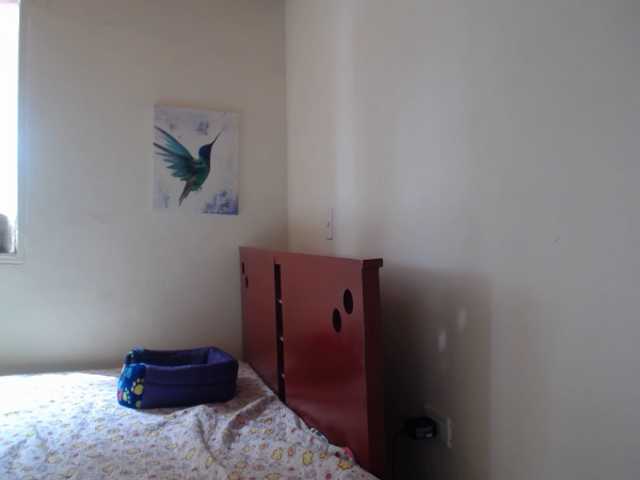 방송 스크린 샷 LillyBrooks