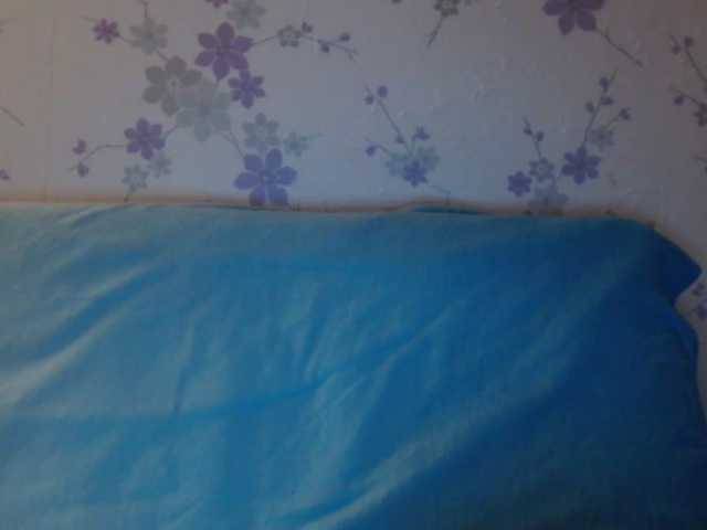 방송 스크린 샷 littledevi