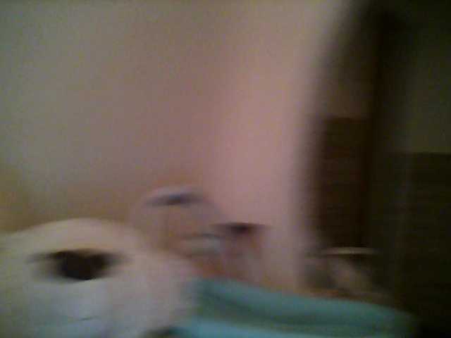 방송 스크린 샷 LizavetaMaxi