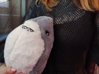 에로틱 한 영상 채팅 Missmedaer