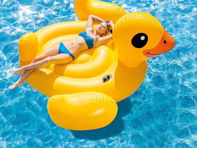 프로필 사진 Mona-Lisa