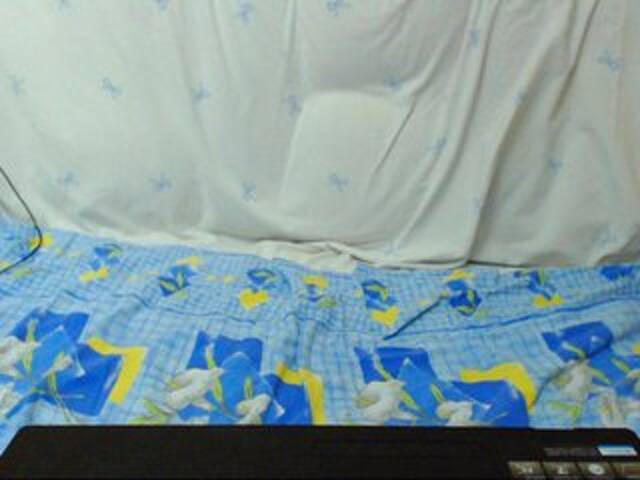 방송 스크린 샷 Morphinee