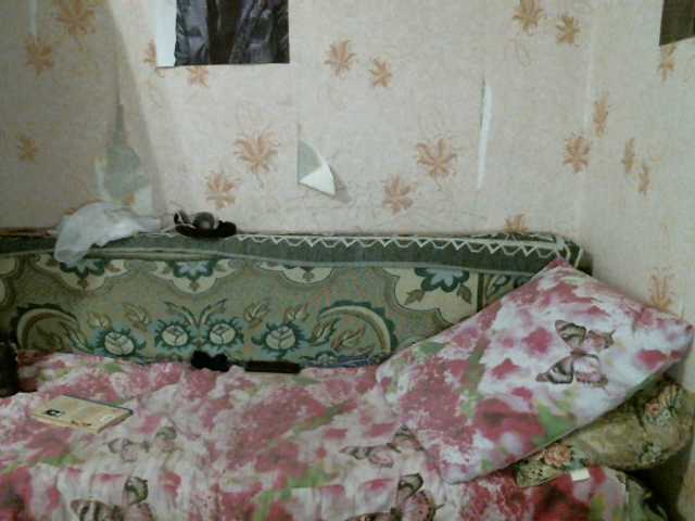 방송 스크린 샷 kar0linaa666