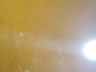 에로틱 한 영상 채팅 PanteraNeagra