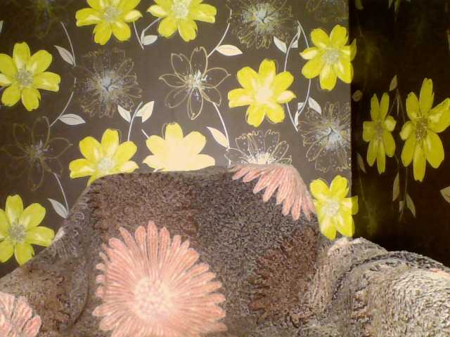 방송 스크린 샷 ParisCindy