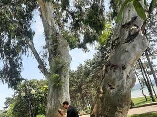 에로틱 한 영상 채팅 PUPI-DEL-REY