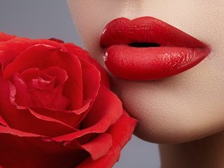 에로틱 한 영상 채팅 Red-Rose-777