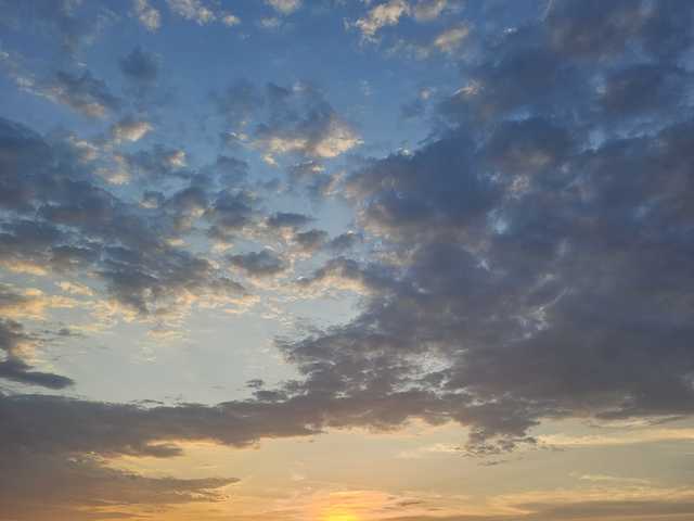 프로필 사진 onehumanbeing